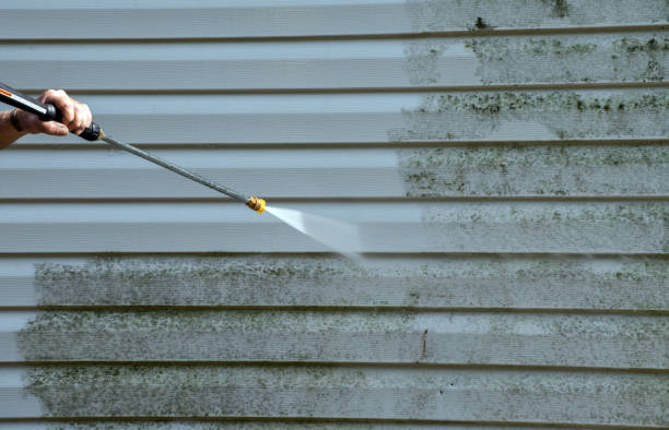 Best Deck Cleaning Services  in Macom, IL