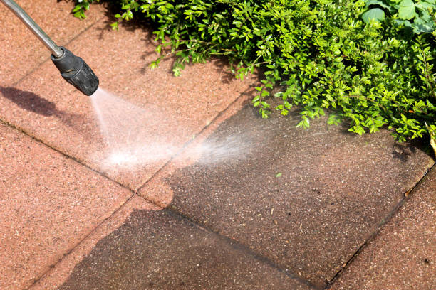 Best Affordable Power Washing  in Macom, IL